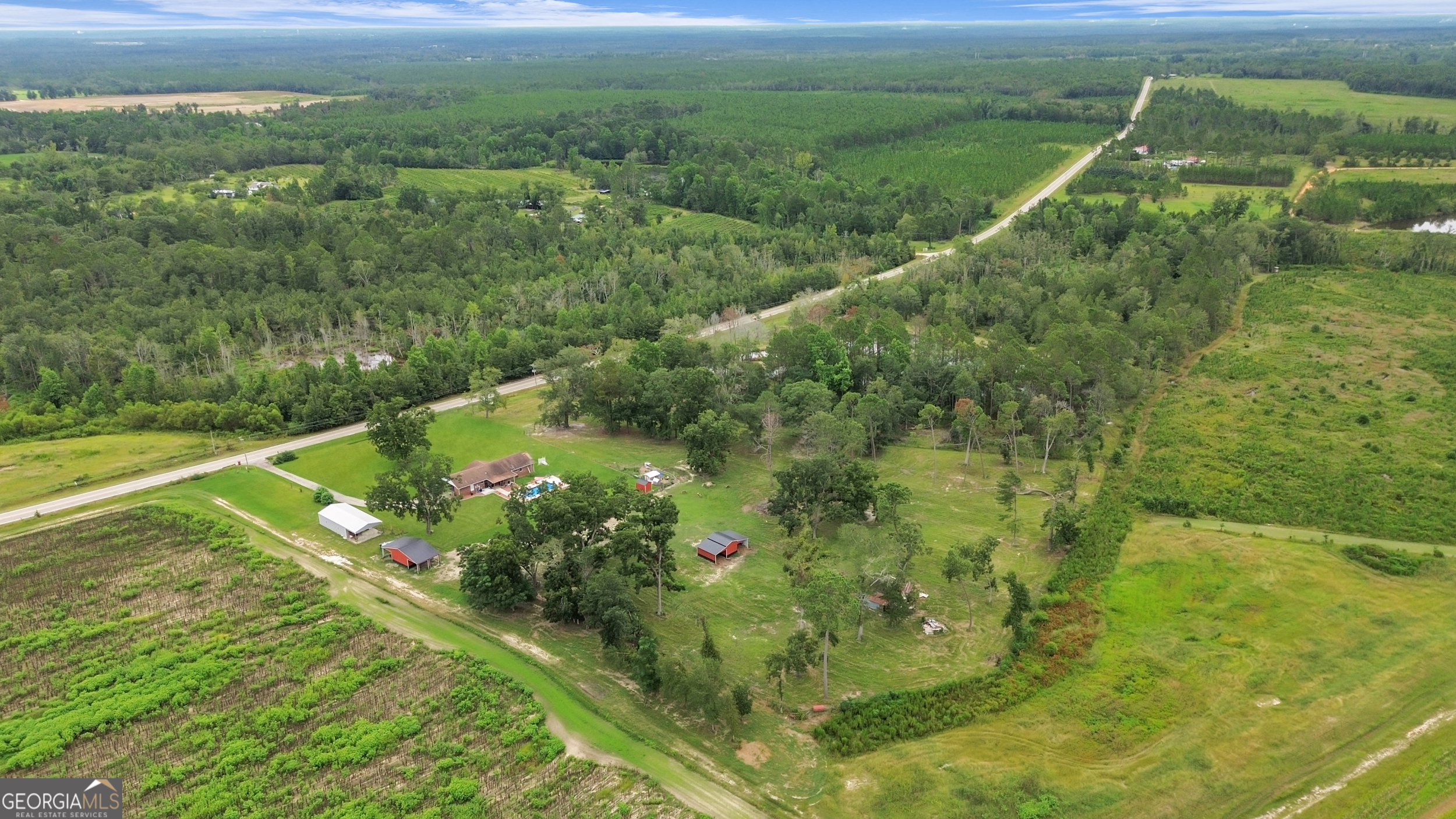 14936 Ga Highway 86 Property Photo 70