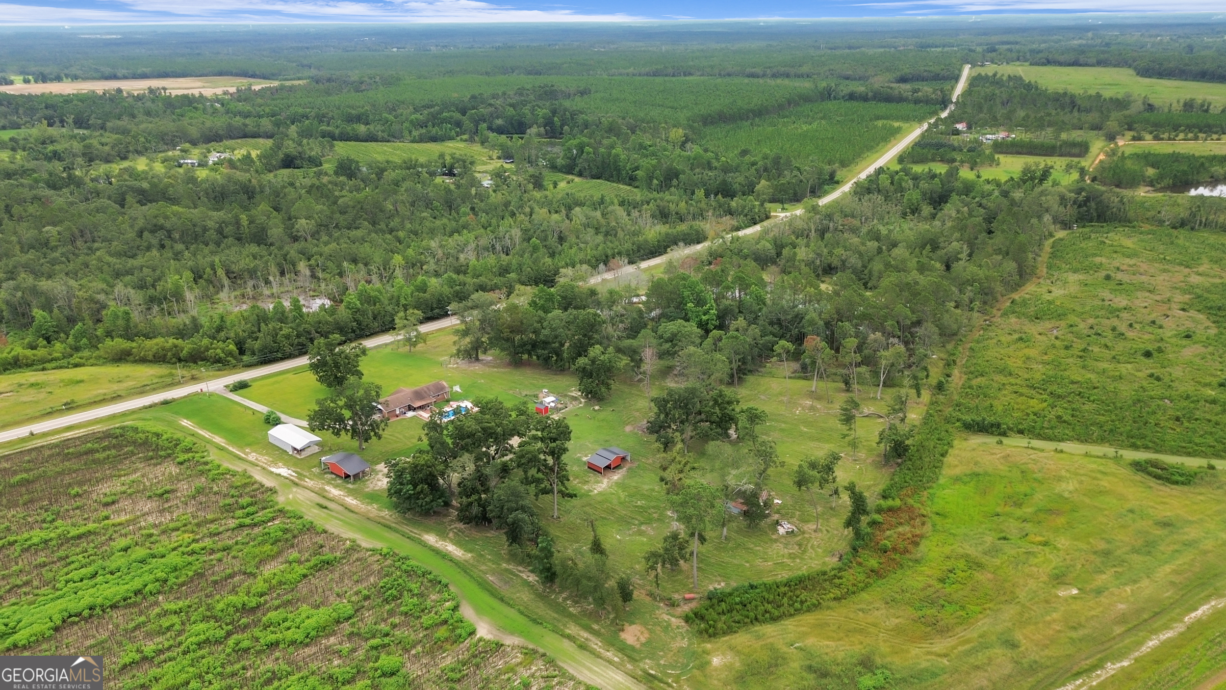 14936 Ga Highway 86 Property Photo 71