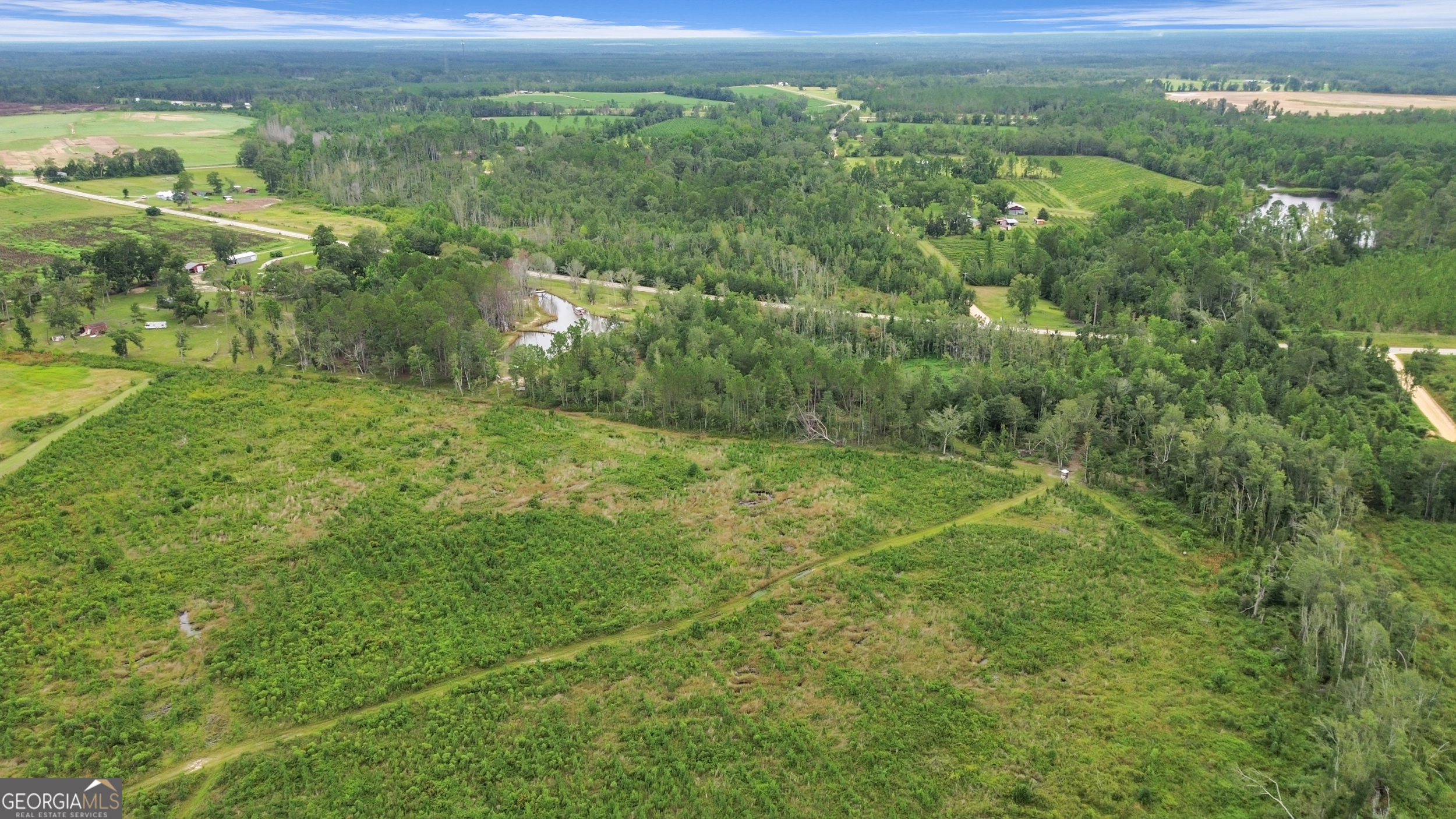 14936 Ga Highway 86 Property Photo 74