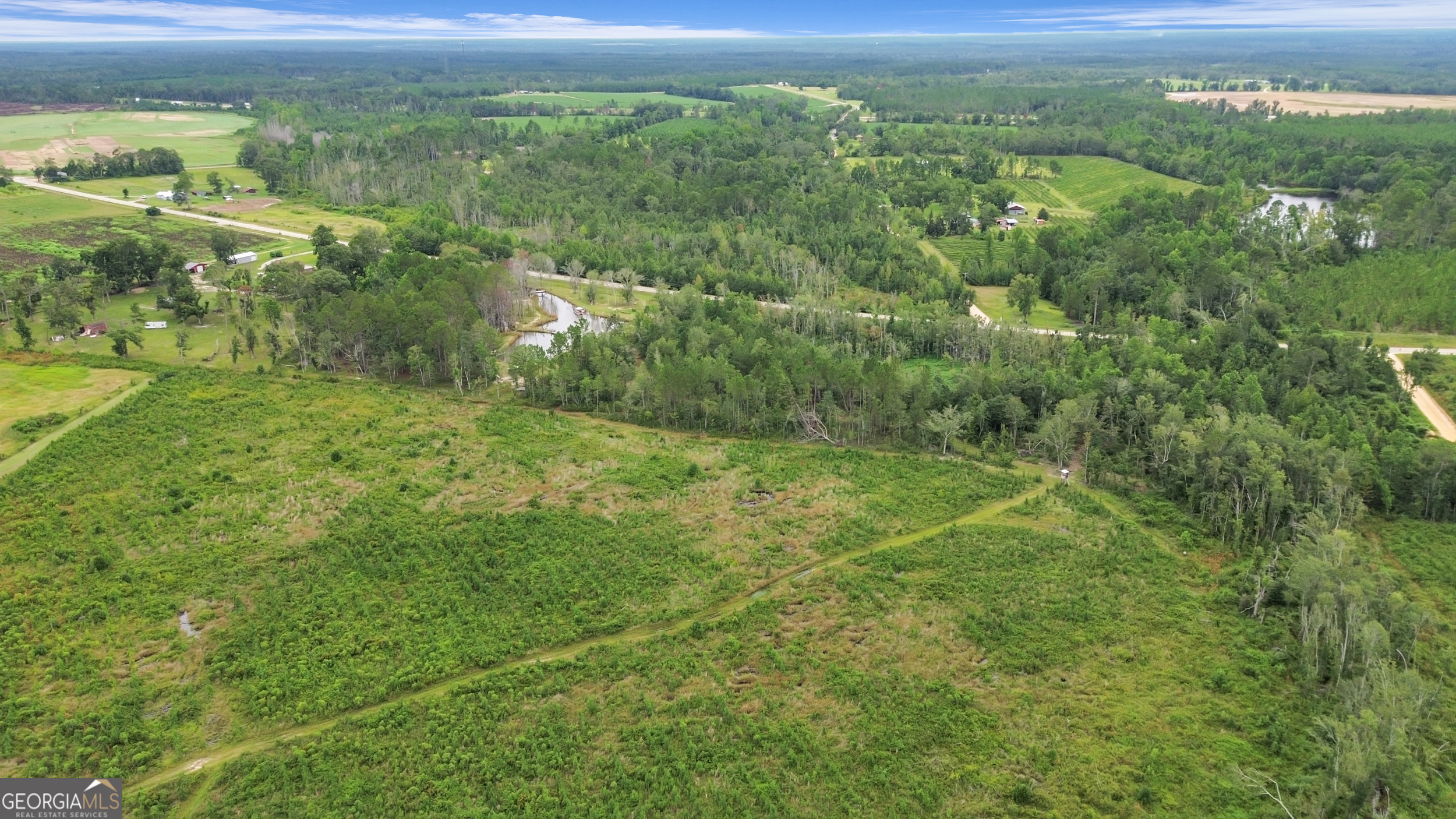 14936 Ga Highway 86 Property Photo 75
