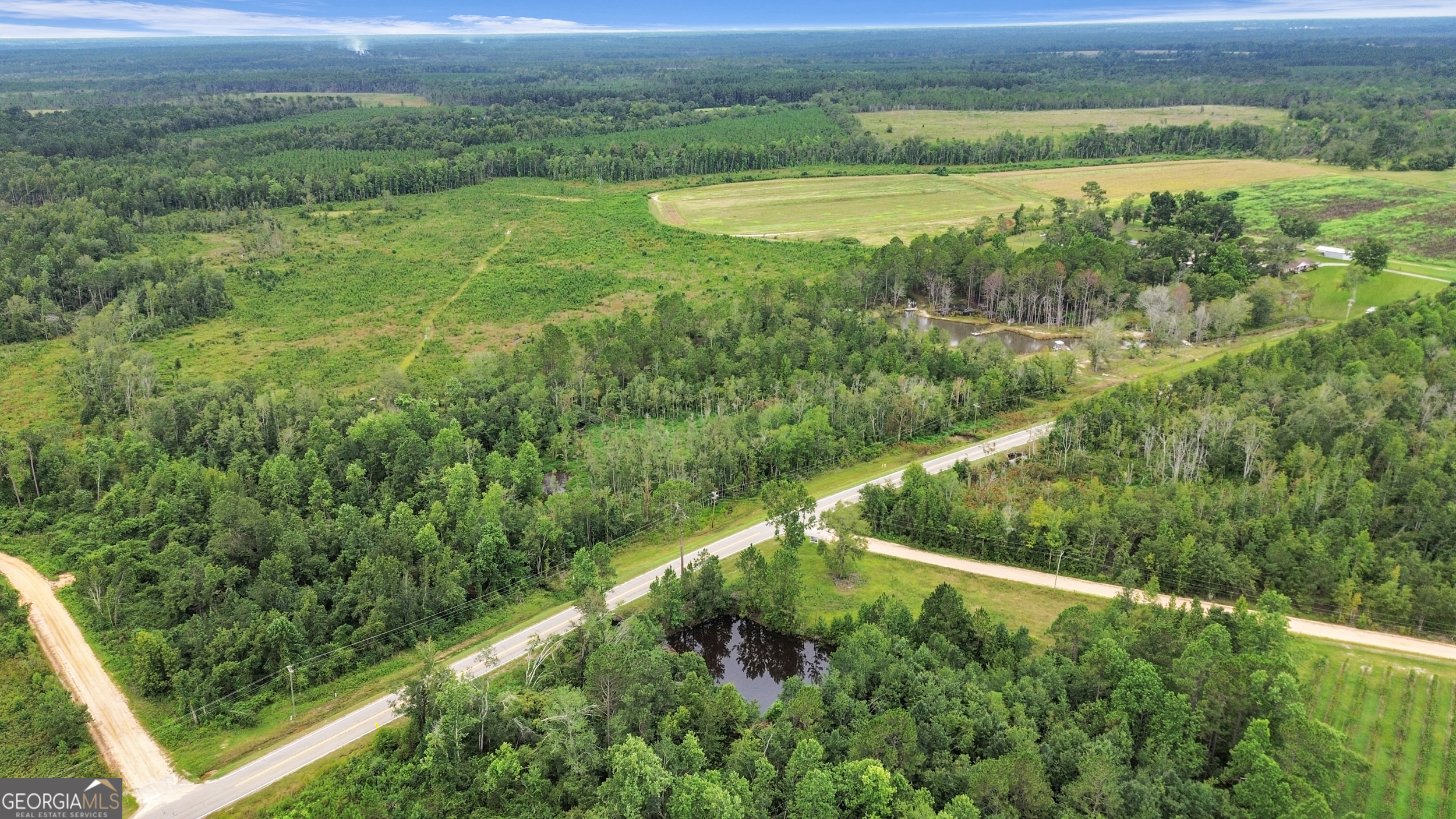 14936 Ga Highway 86 Property Photo 81