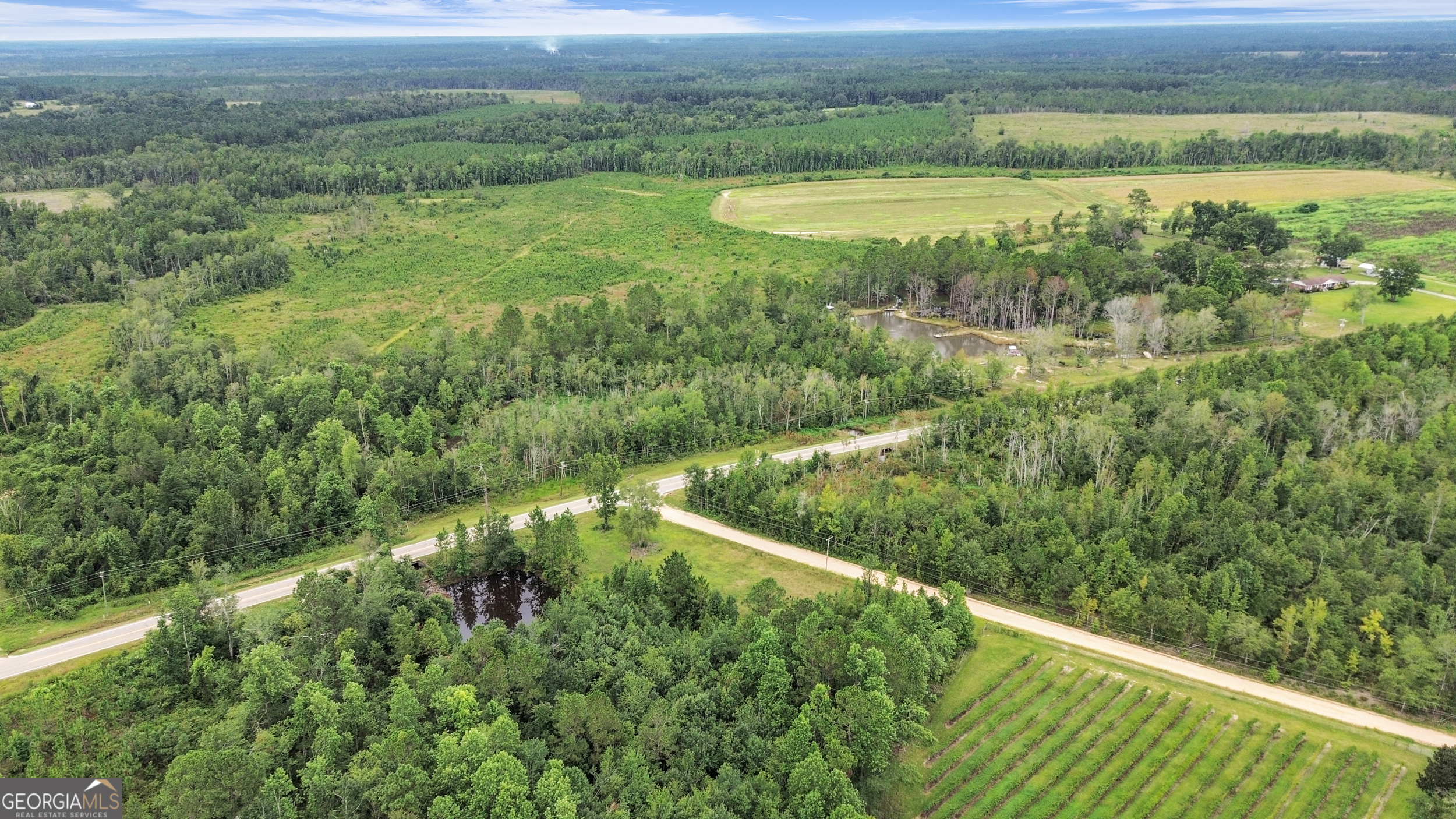 14936 Ga Highway 86 Property Photo 82