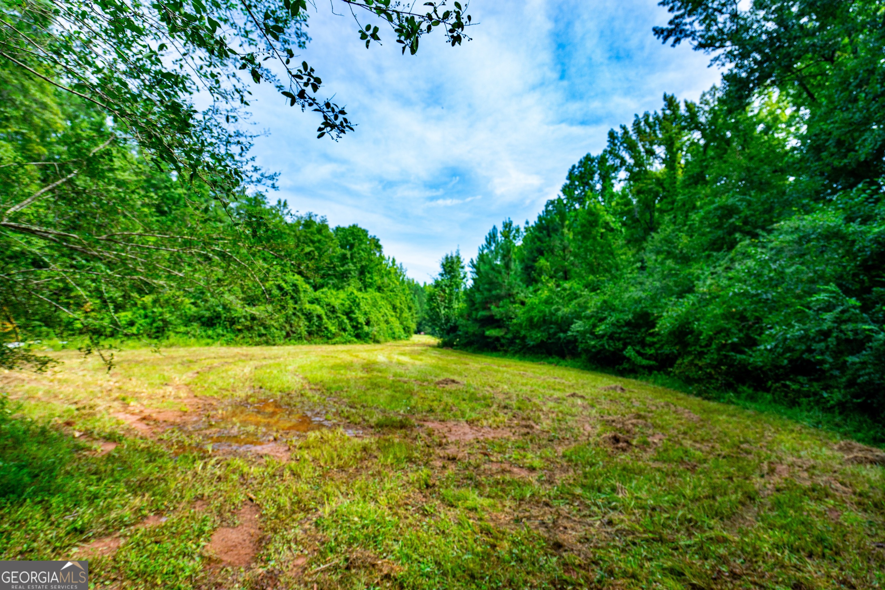 0 Briley Road Property Photo 15