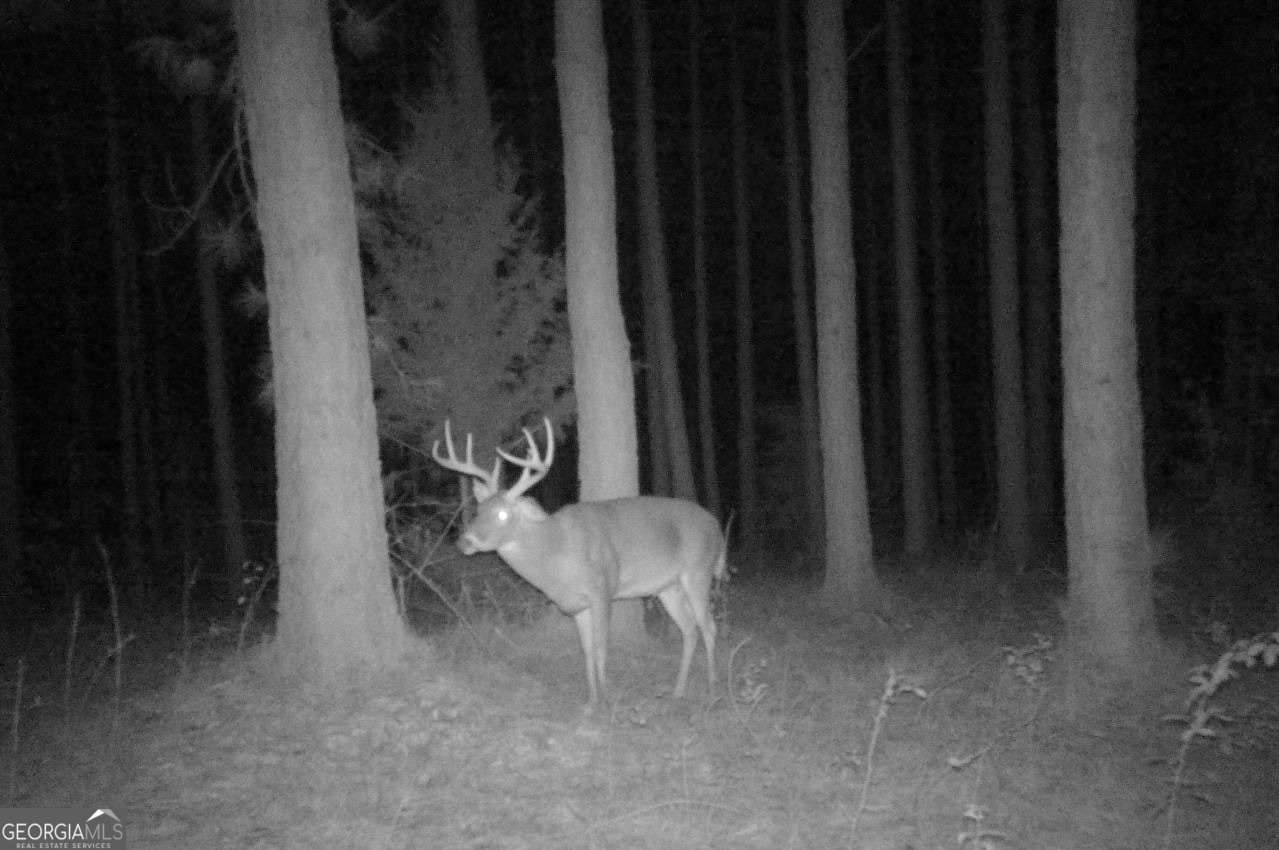 0 Briley Road Property Photo 24