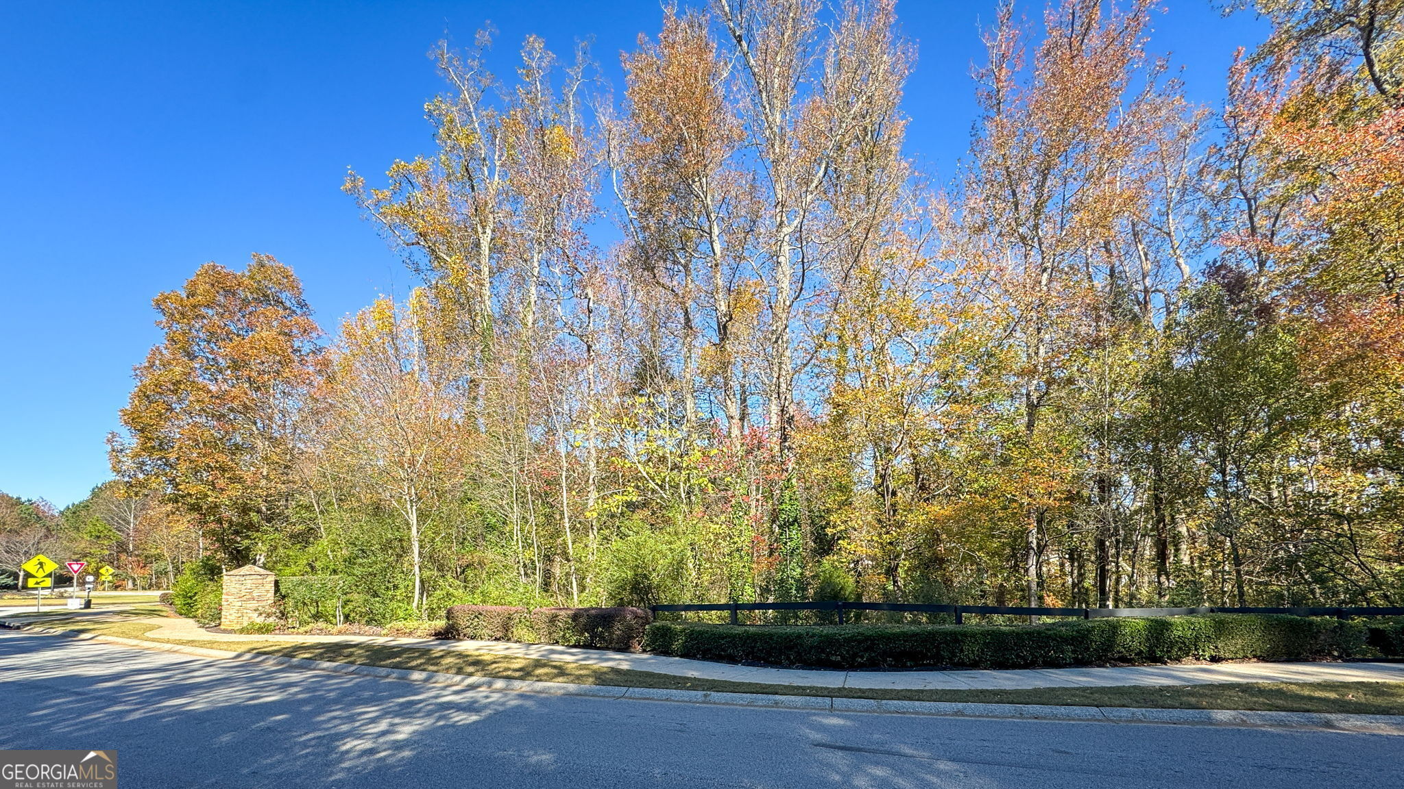 0 Crescent Brook Crossing Property Photo 11