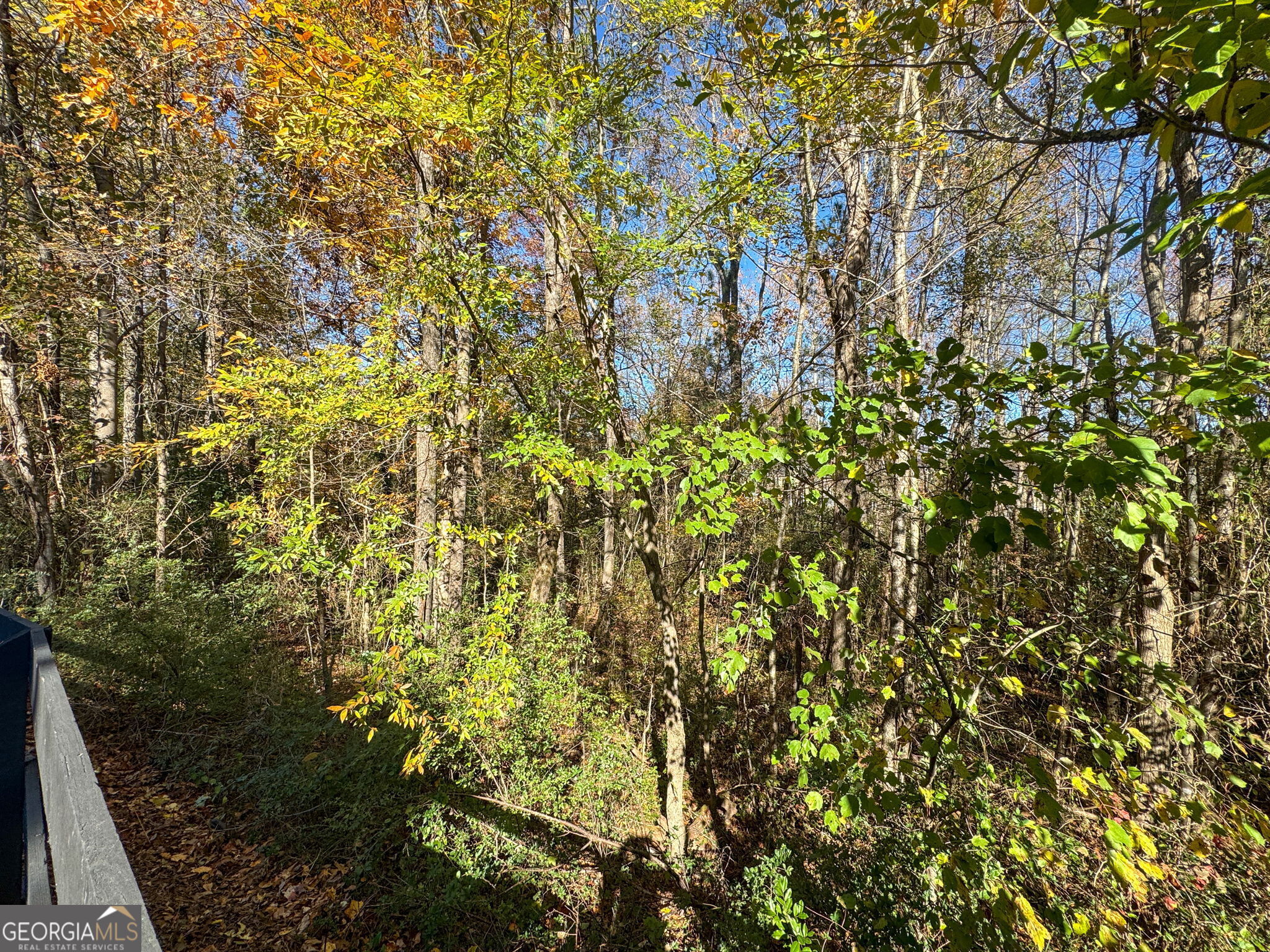 0 Crescent Brook Crossing Property Photo 12