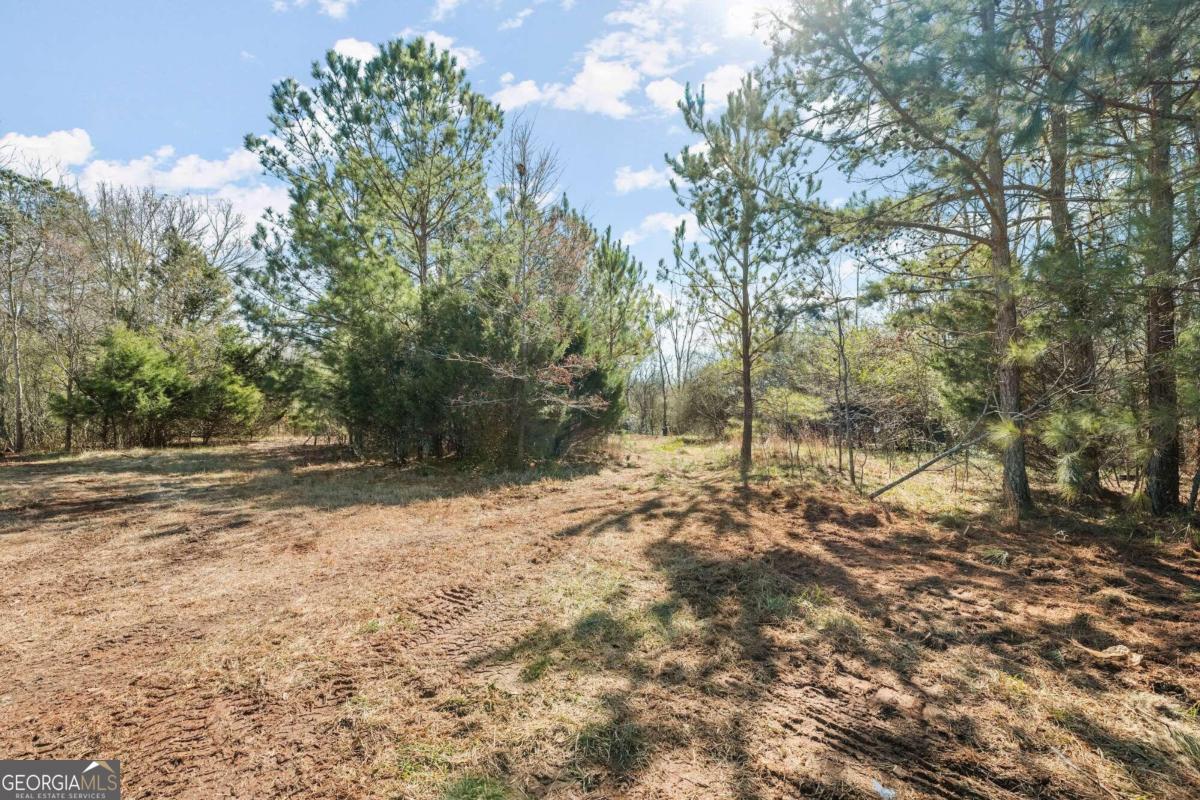 4 W Farm Road Property Photo 3