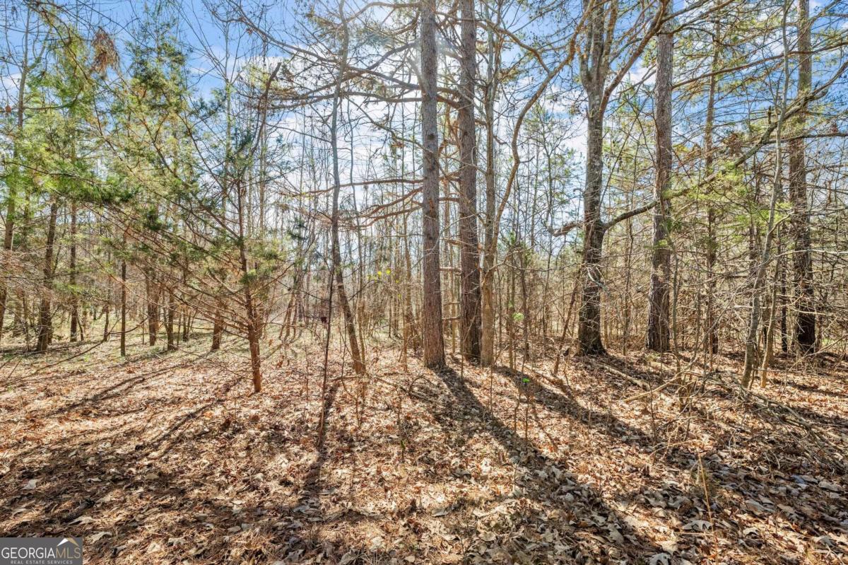 4 W Farm Road Property Photo 4