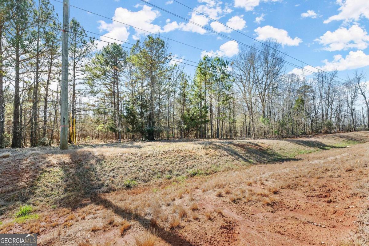 4 W Farm Road Property Photo 6