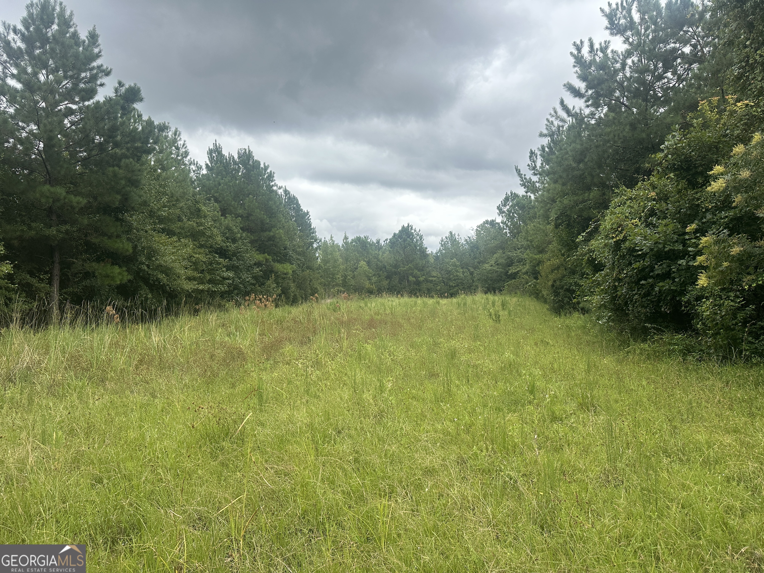 0 Hiltonia-perkins Road Property Photo 1