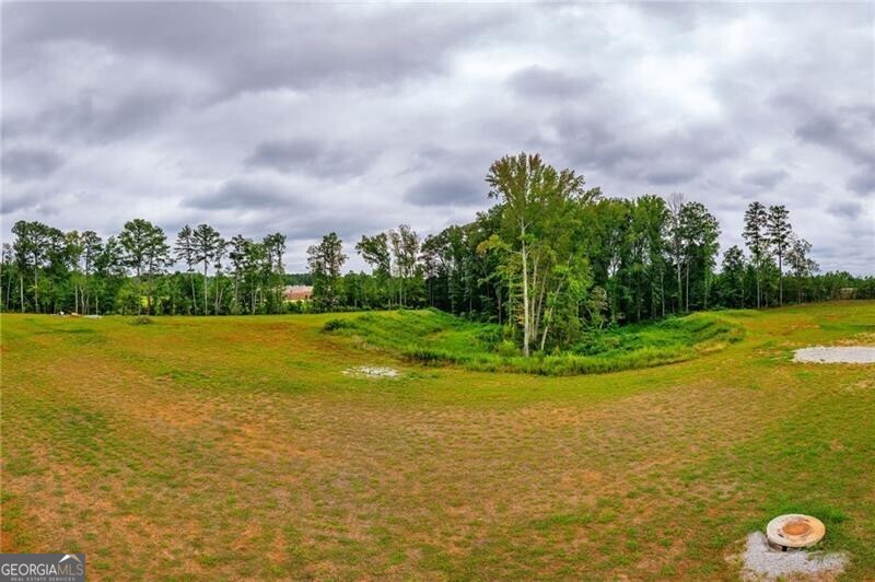 0 Charles Hardy Parkway Property Photo 10