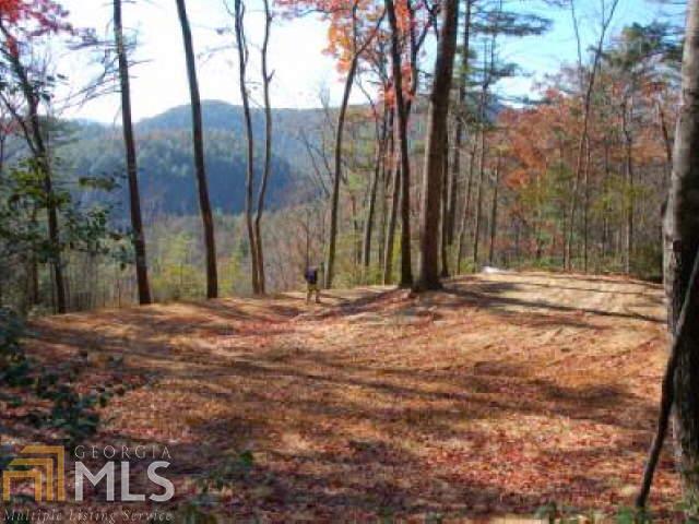 0 Hwy 28 Property Photo 10