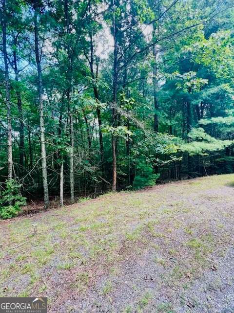 LOT 42 Squirrel Hunting Road