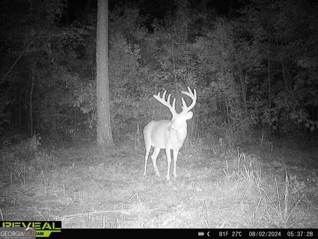 0 Seven Islands Road Property Photo 7
