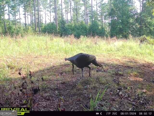 0 Seven Islands Road Property Photo 8