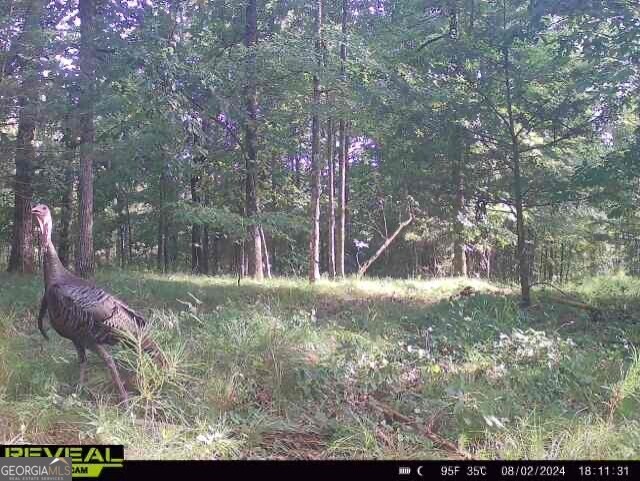 0 Seven Islands Road Property Photo 13
