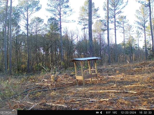 0 Seven Islands Road Property Photo 15