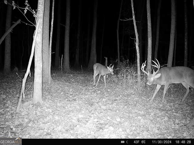 0 Seven Islands Road Property Photo 17