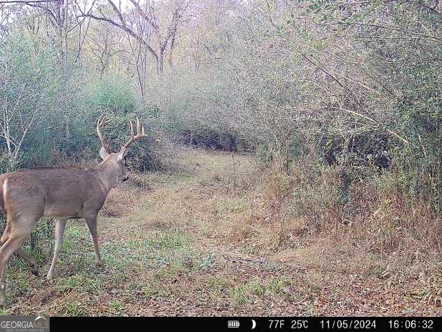 0 Seven Islands Road Property Photo 20