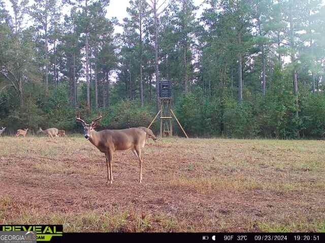 0 Seven Islands Road Property Photo 21
