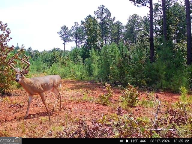 0 Seven Islands Road Property Photo 22