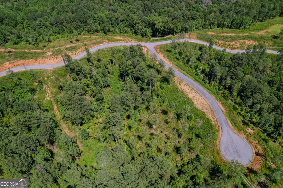 Lot 148 Eddy Waters Circle Property Photo 3