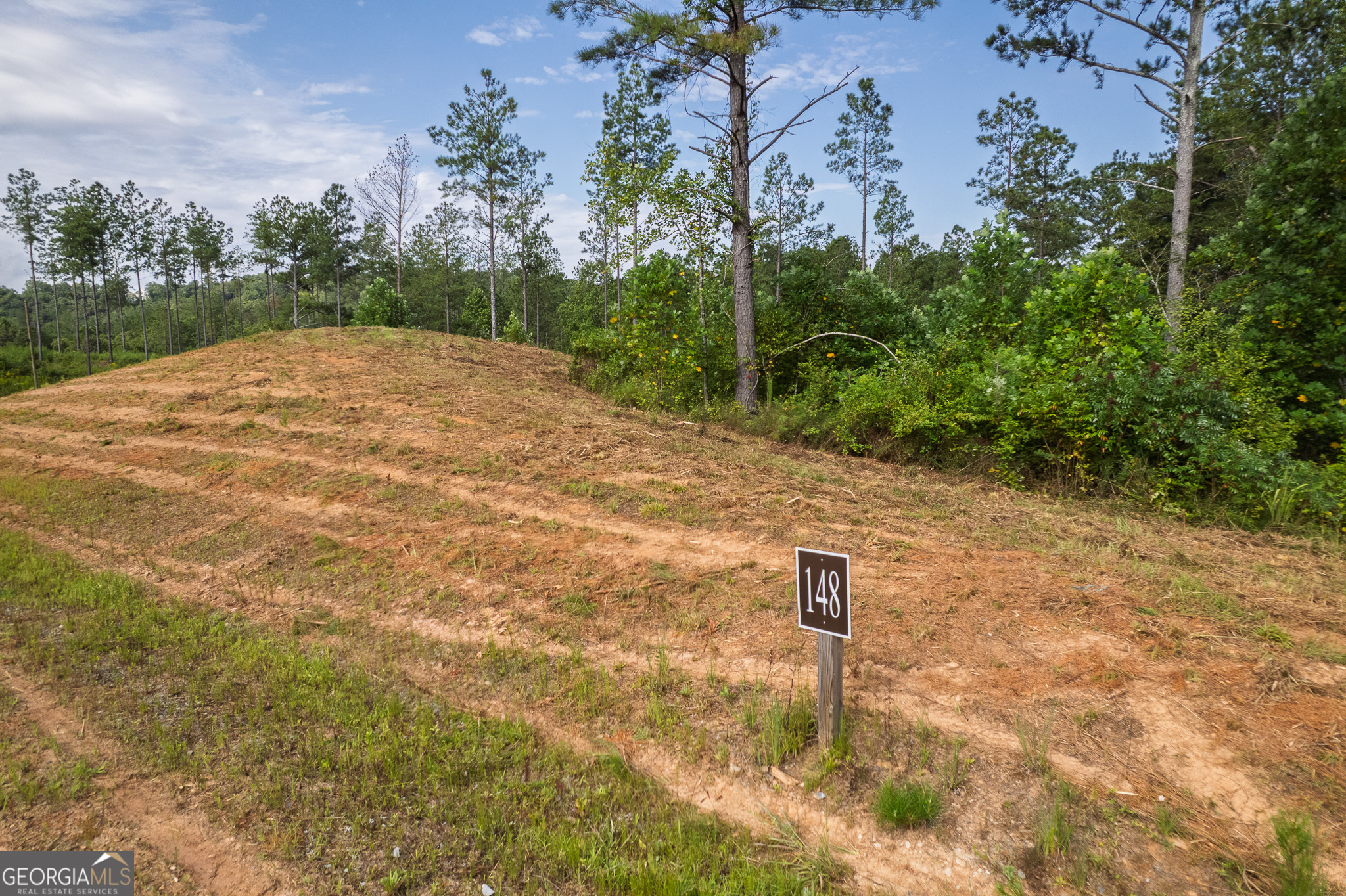 Lot 148 Eddy Waters Circle Property Photo 19