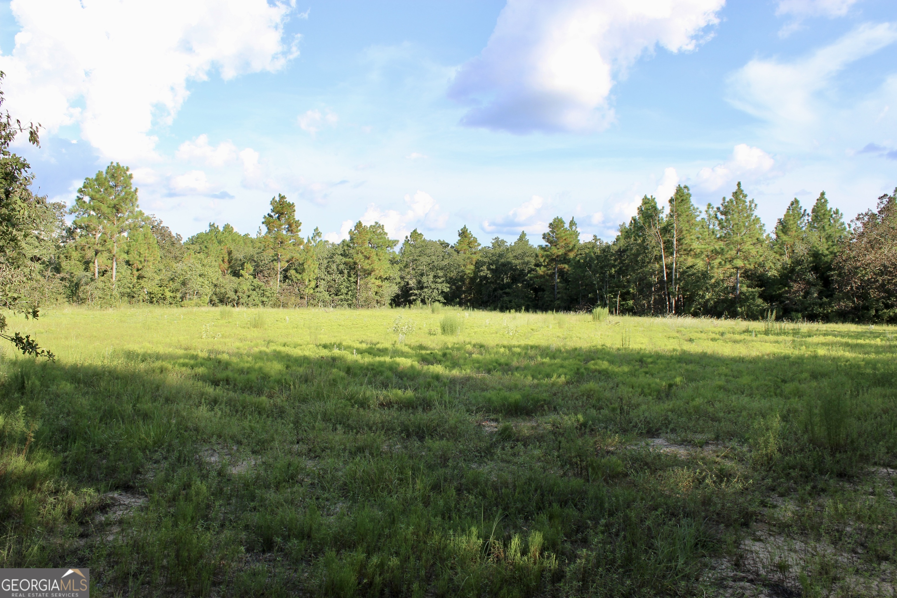 467 Mccall Road Property Photo 1