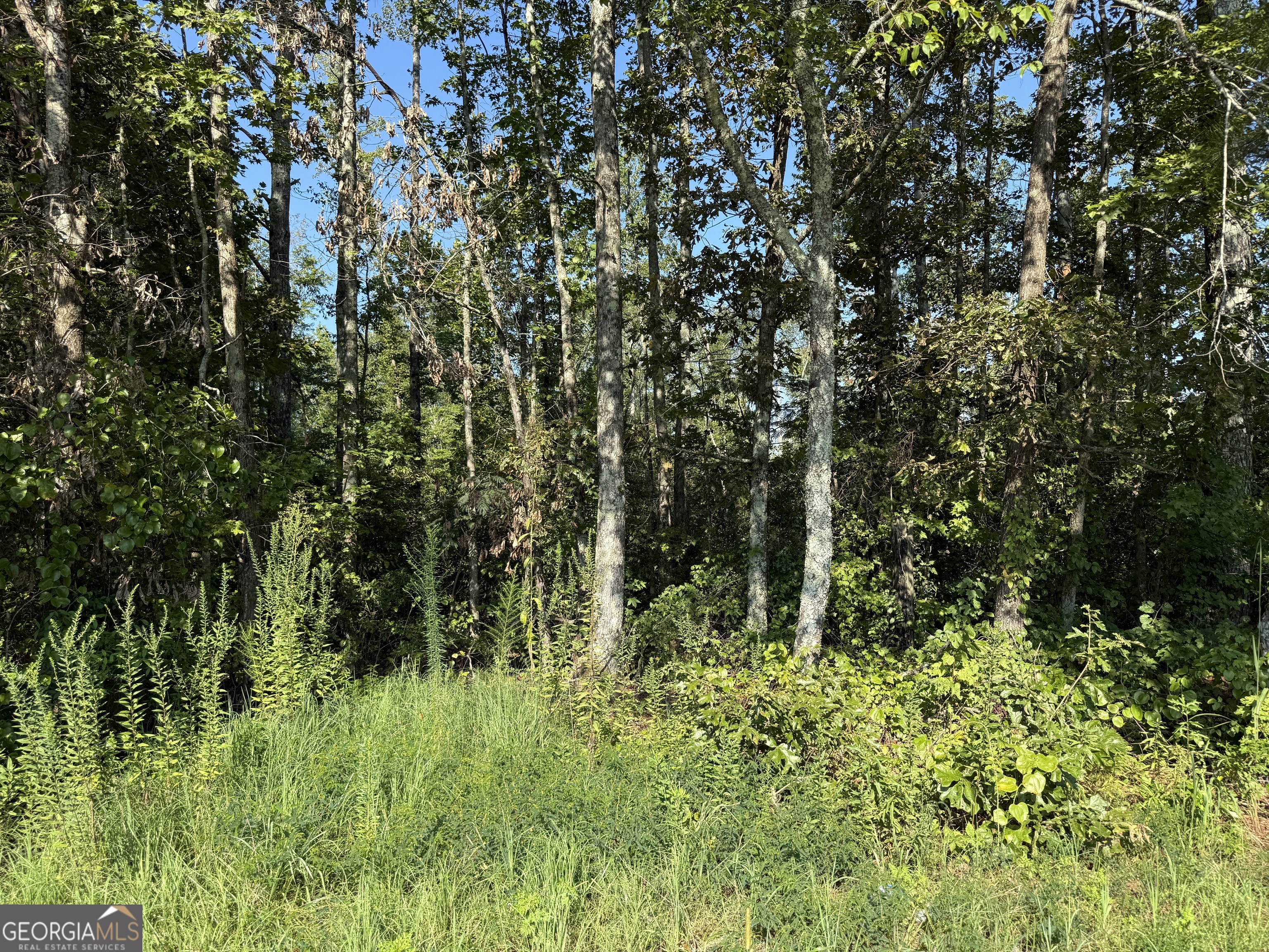 0 N Ga Highway 113 Property Photo 3