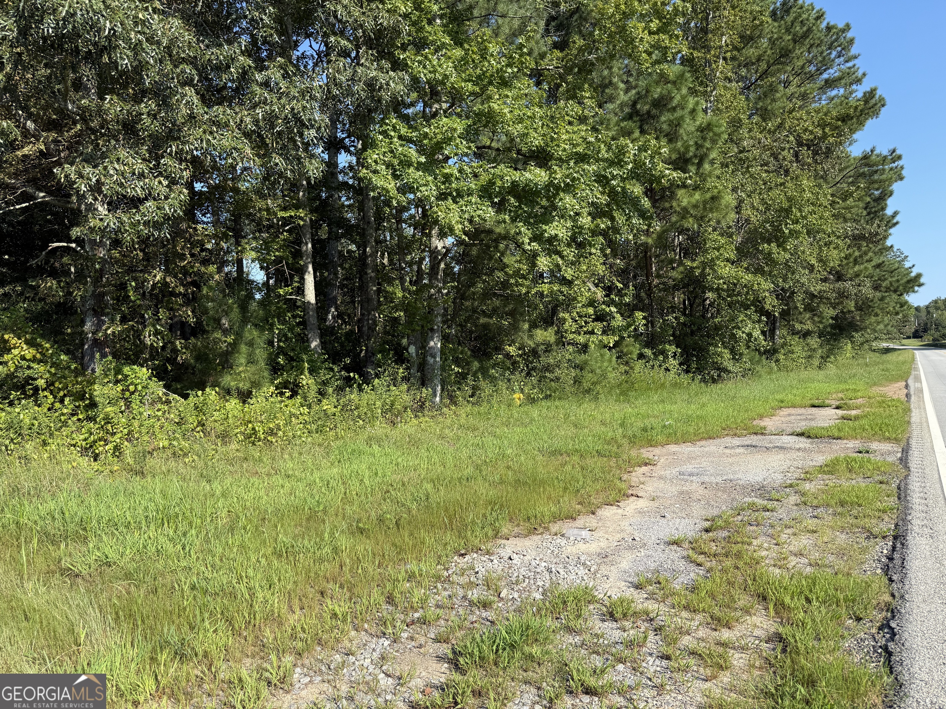 0 N Ga Highway 113 Property Photo 6