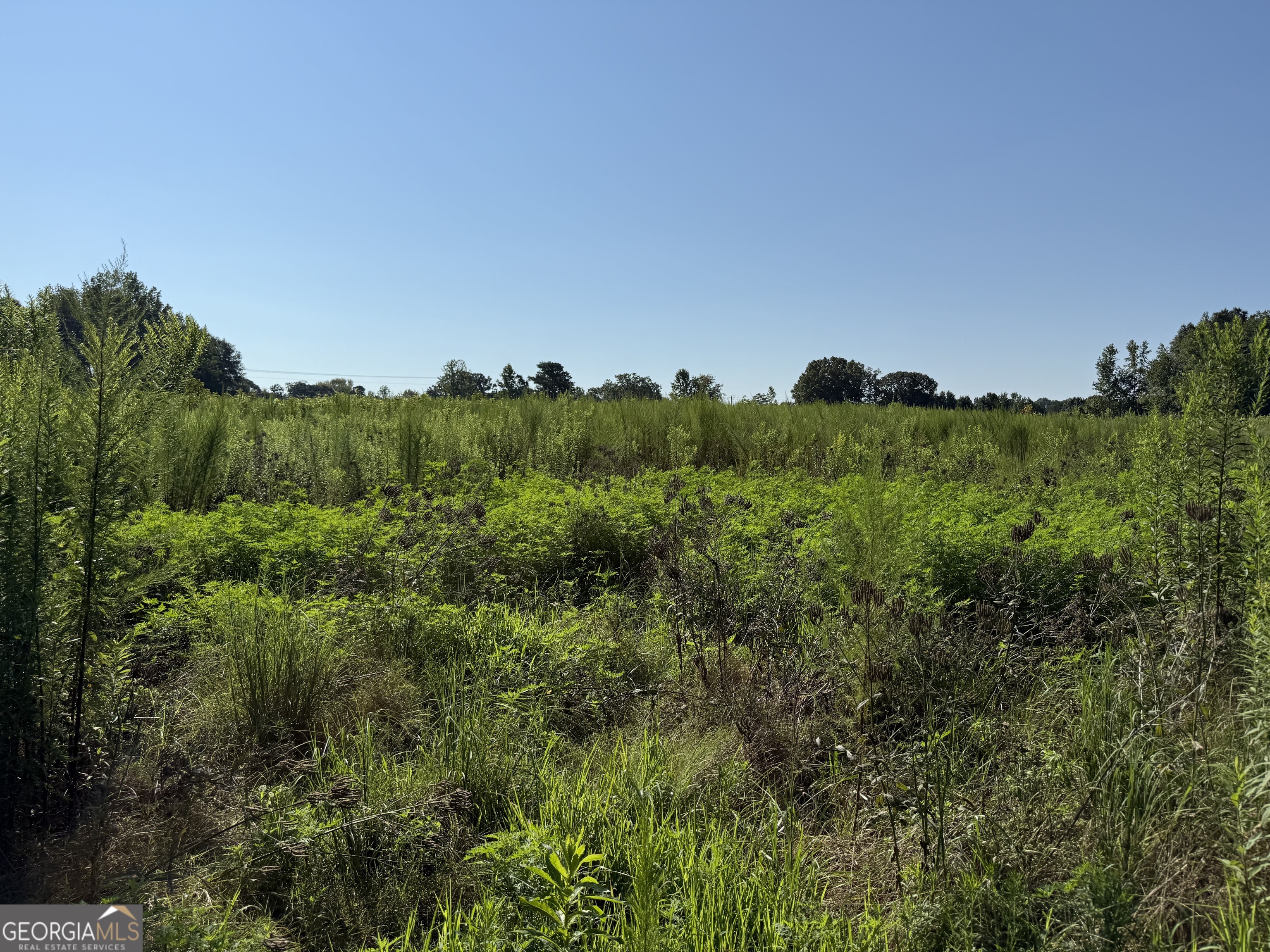 0 N Ga Highway 113 Property Photo 8