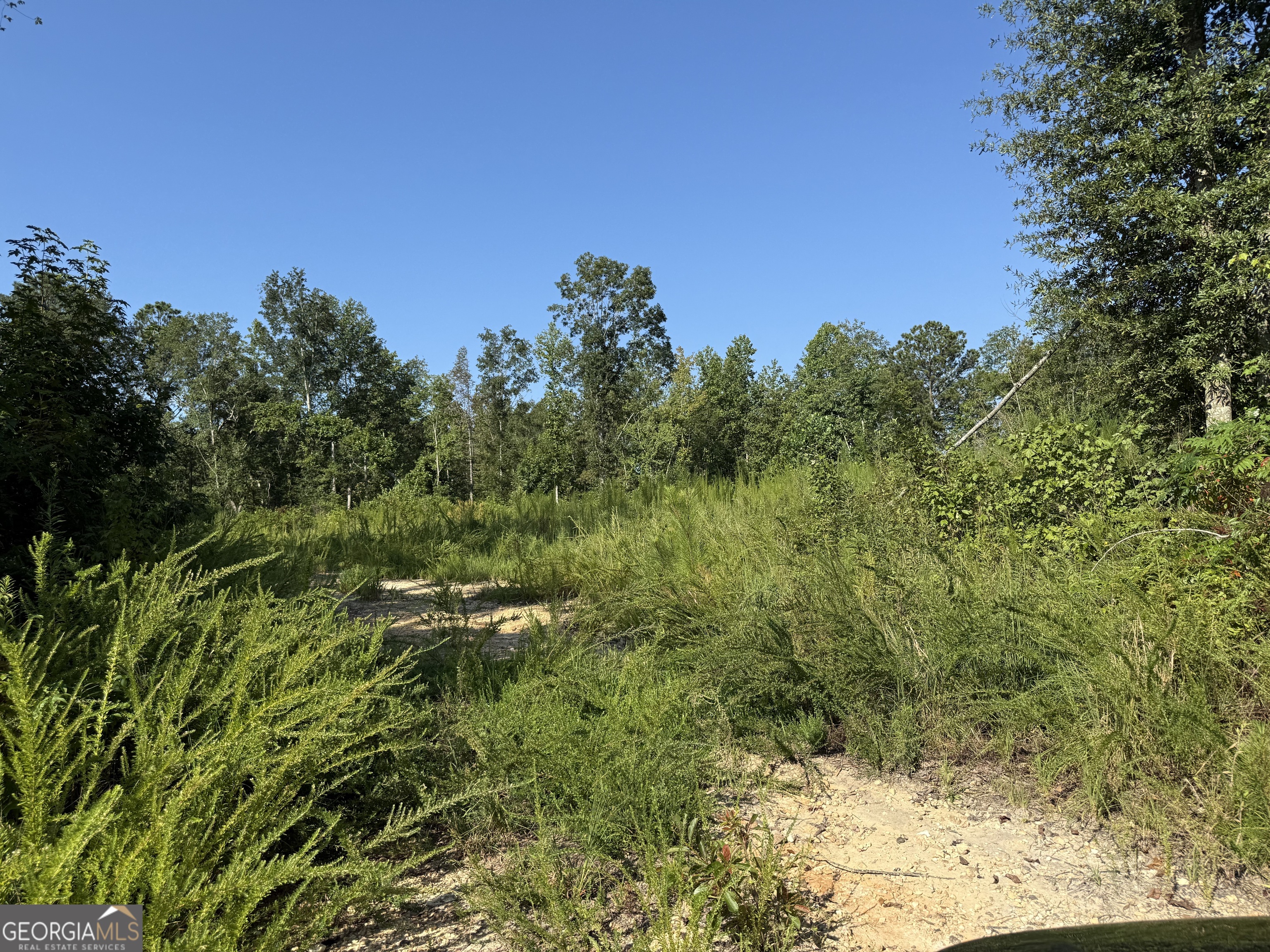 0 N Ga Highway 113 Property Photo 9
