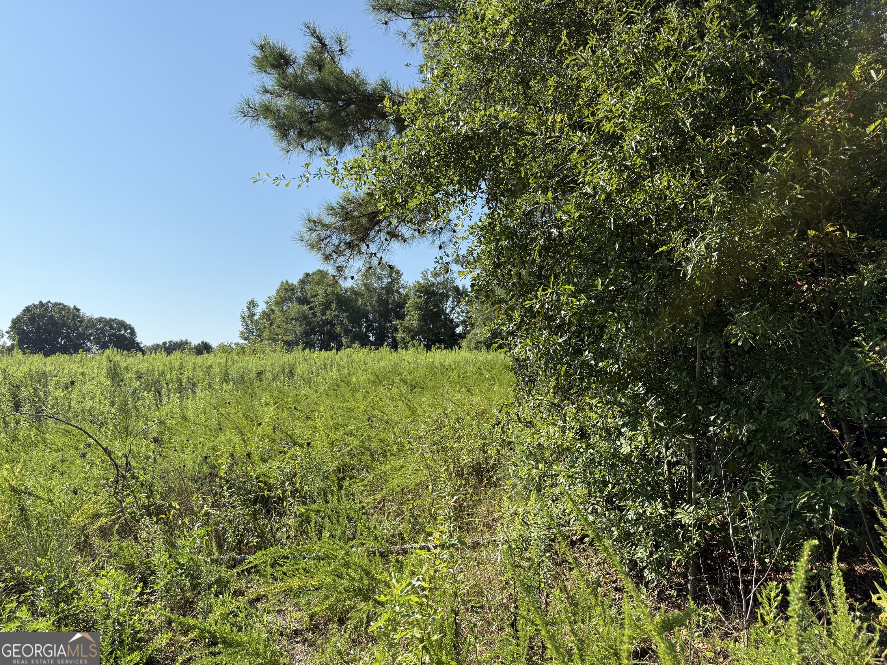 0 N Ga Highway 113 Property Photo 10