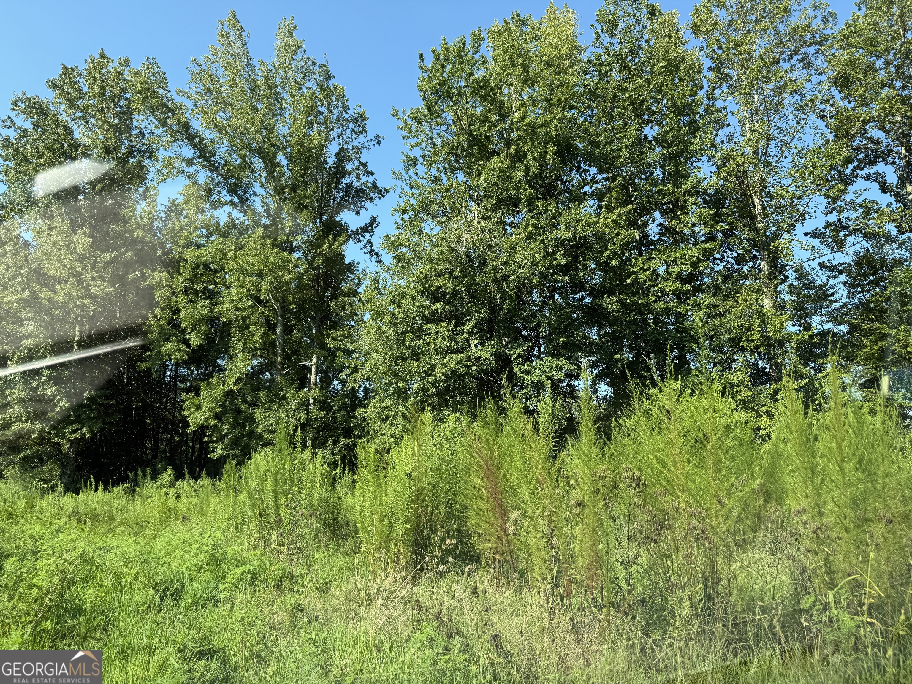 0 N Ga Highway 113 Property Photo 12