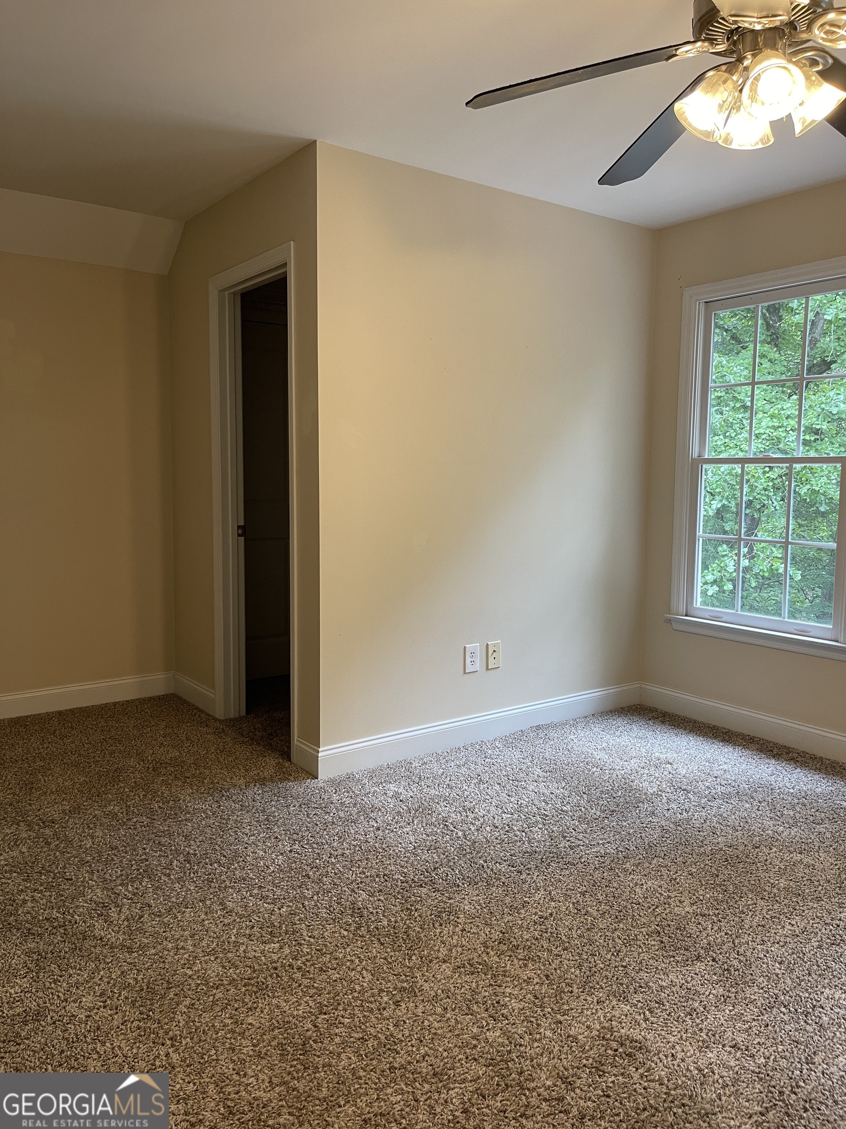 3910 Barnett Shoals Road S Property Photo 27