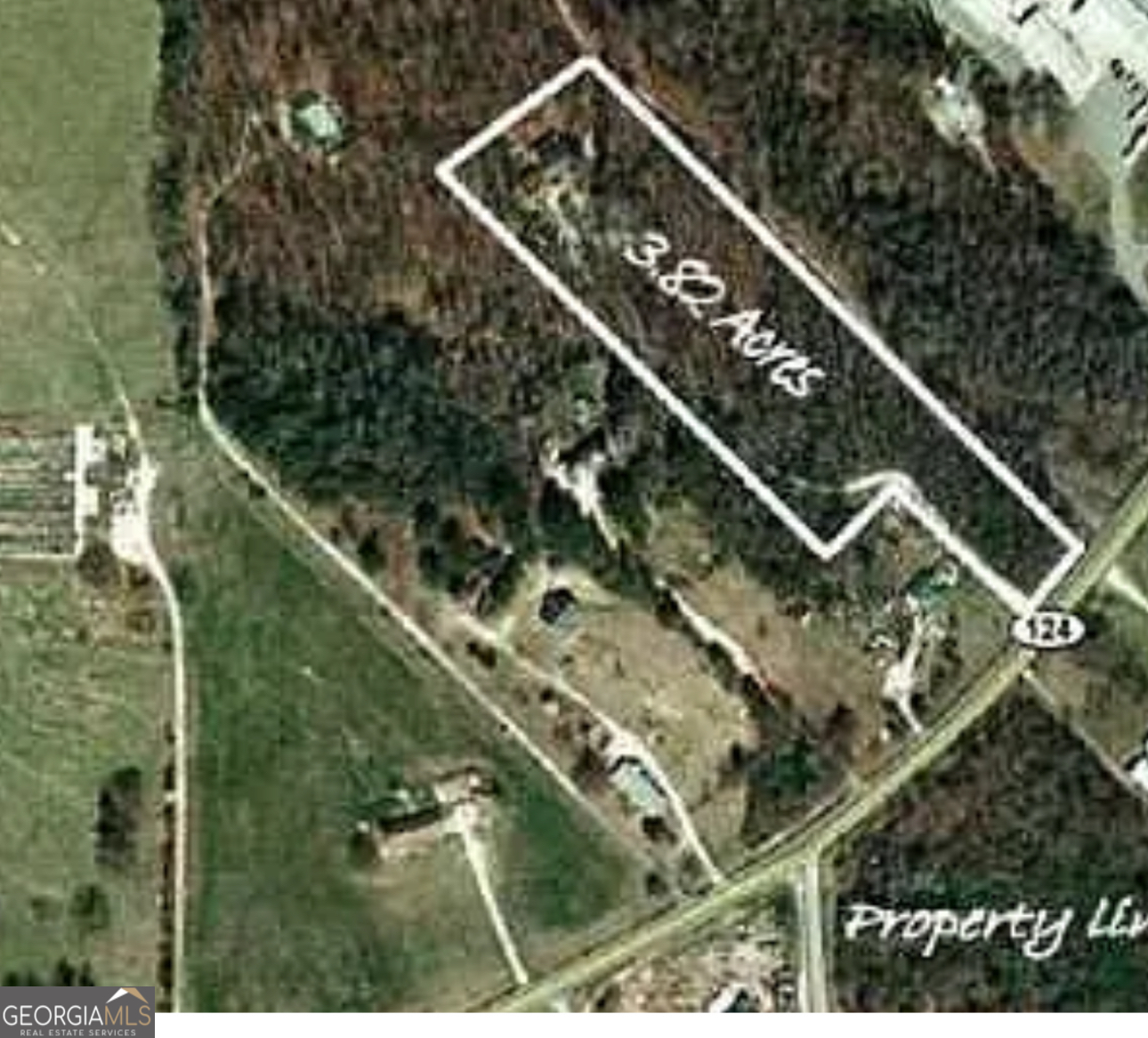 0 Hwy 124 Property Photo 2