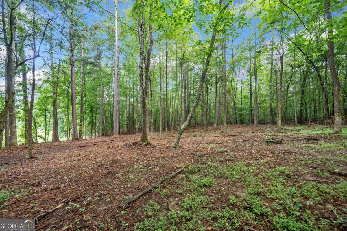 225 Brock Trail # 2 Property Photo 6