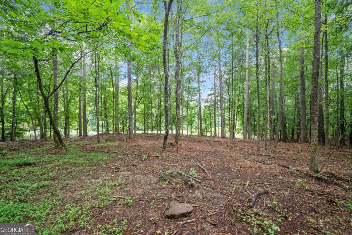 225 Brock Trail # 2 Property Photo 10