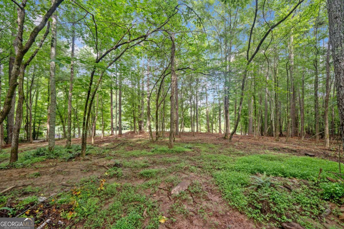 225 Brock Trail # 2 Property Photo 11