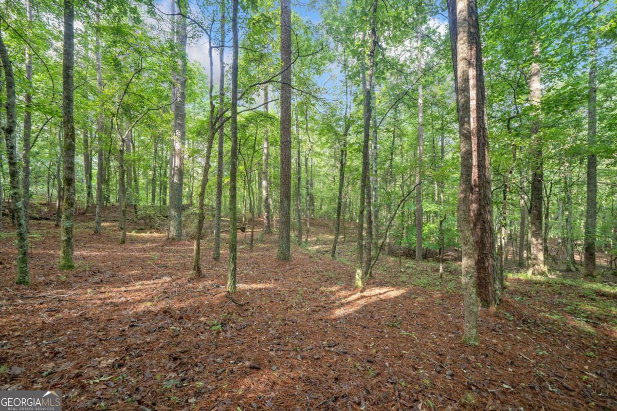225 Brock Trail # 2 Property Photo 13