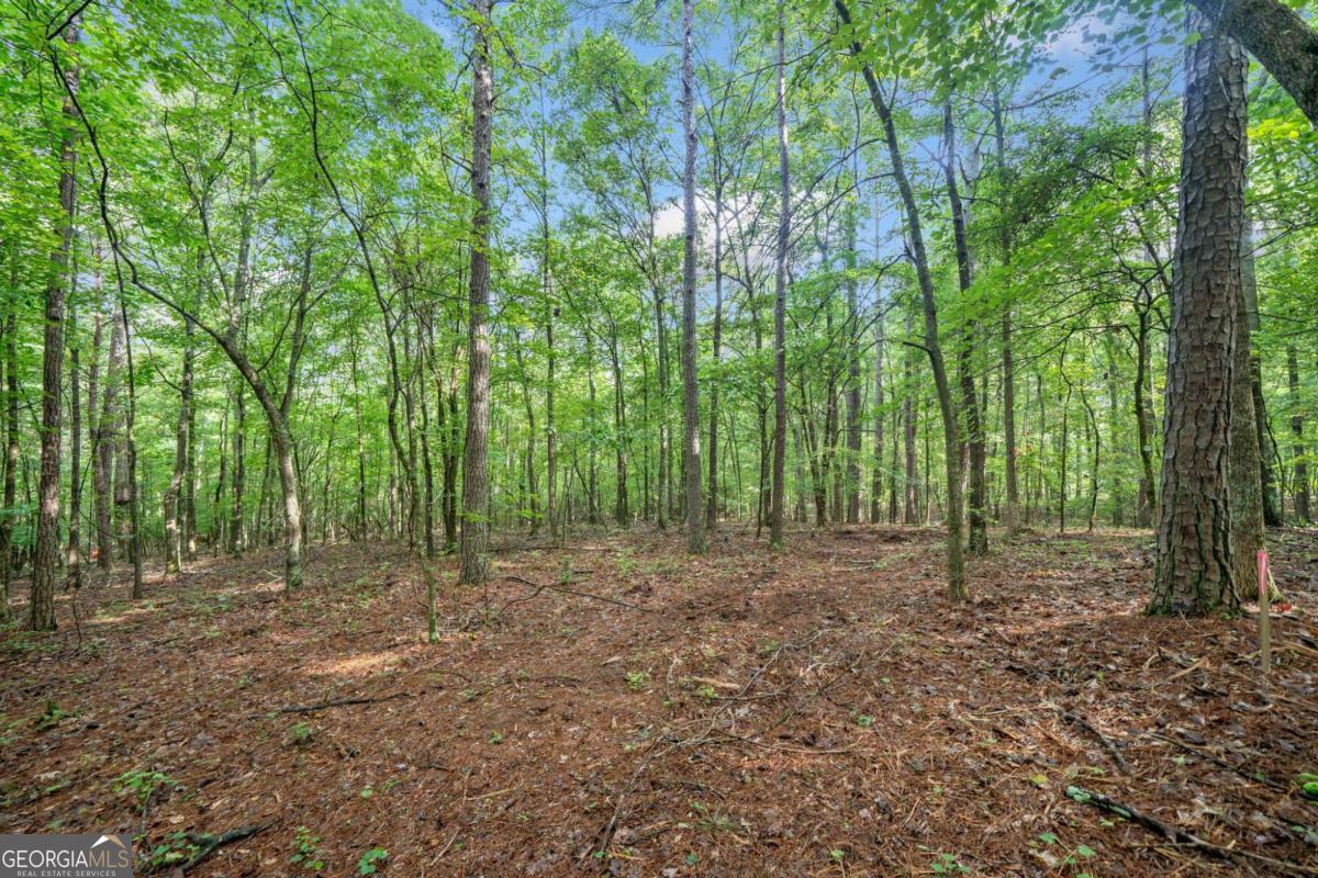 225 Brock Trail # 2 Property Photo 14