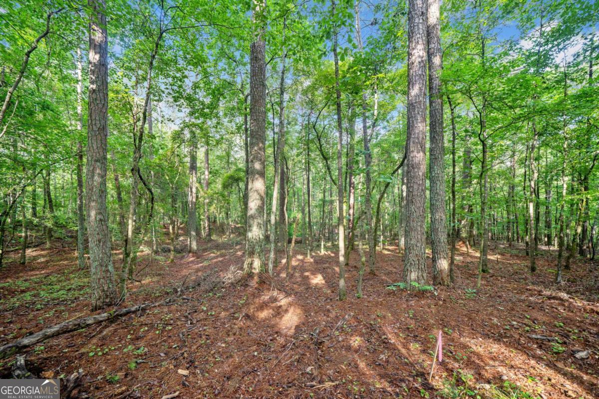 225 Brock Trail # 2 Property Photo 15