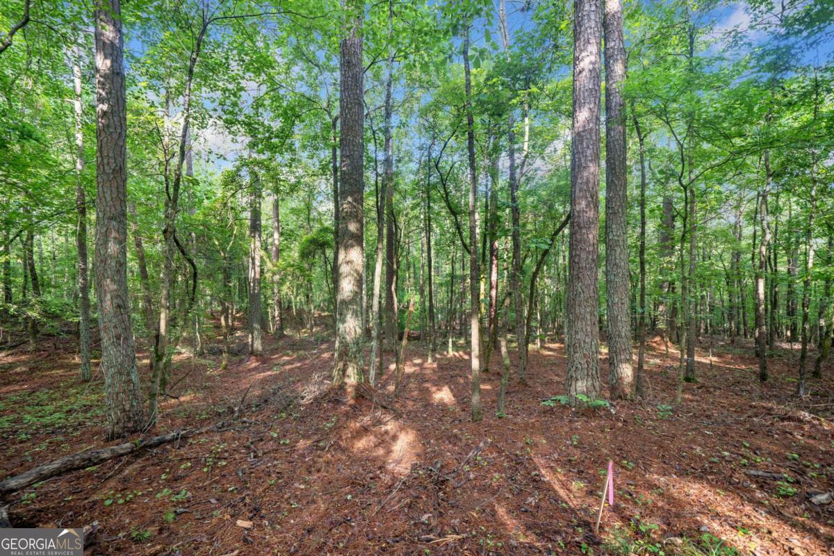 225 Brock Trail # 2 Property Photo 16