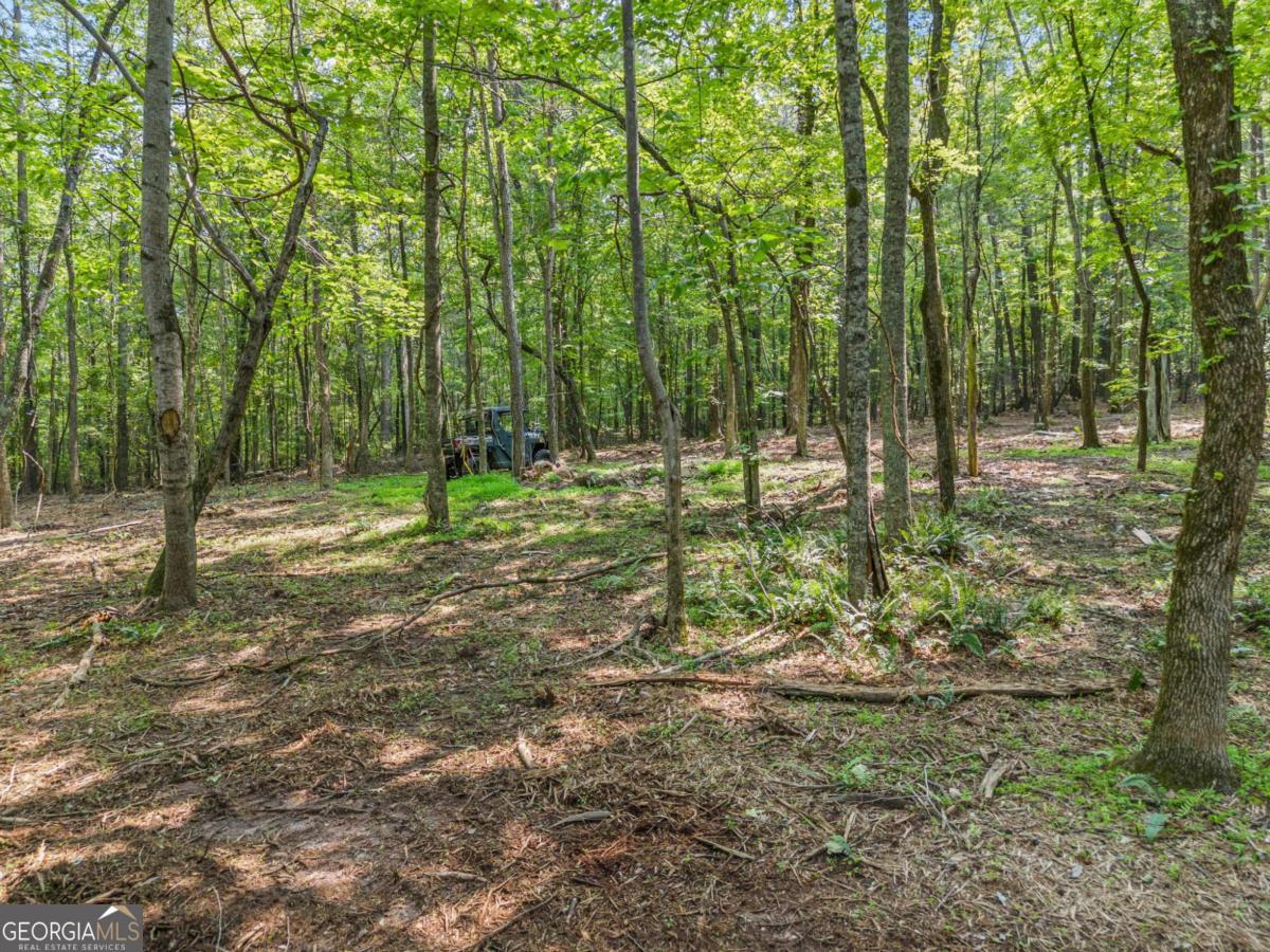 225 Brock Trail # 2 Property Photo 25