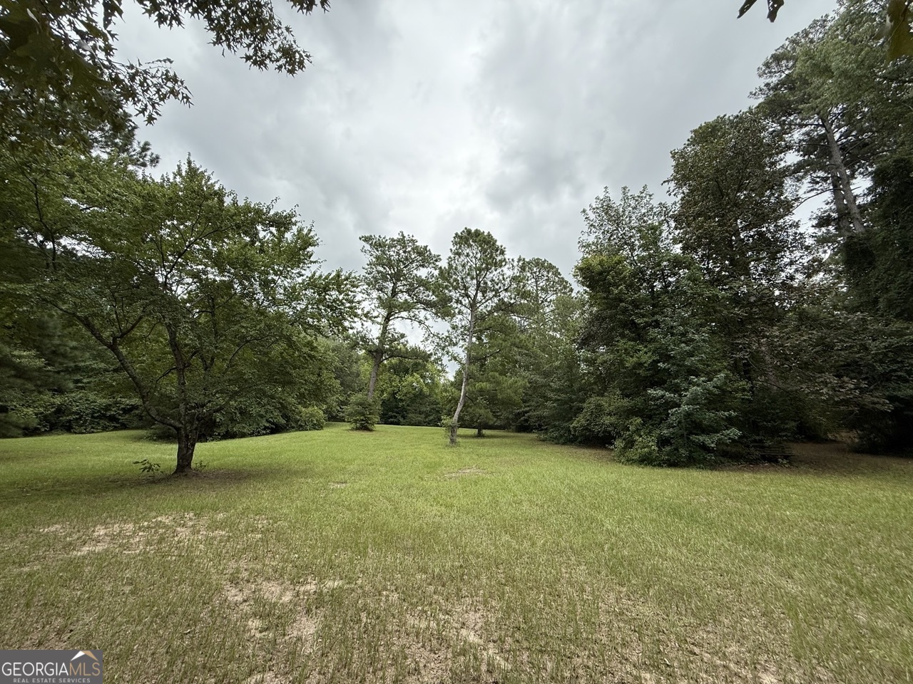 2251 Boy Scout Road Property Photo 10