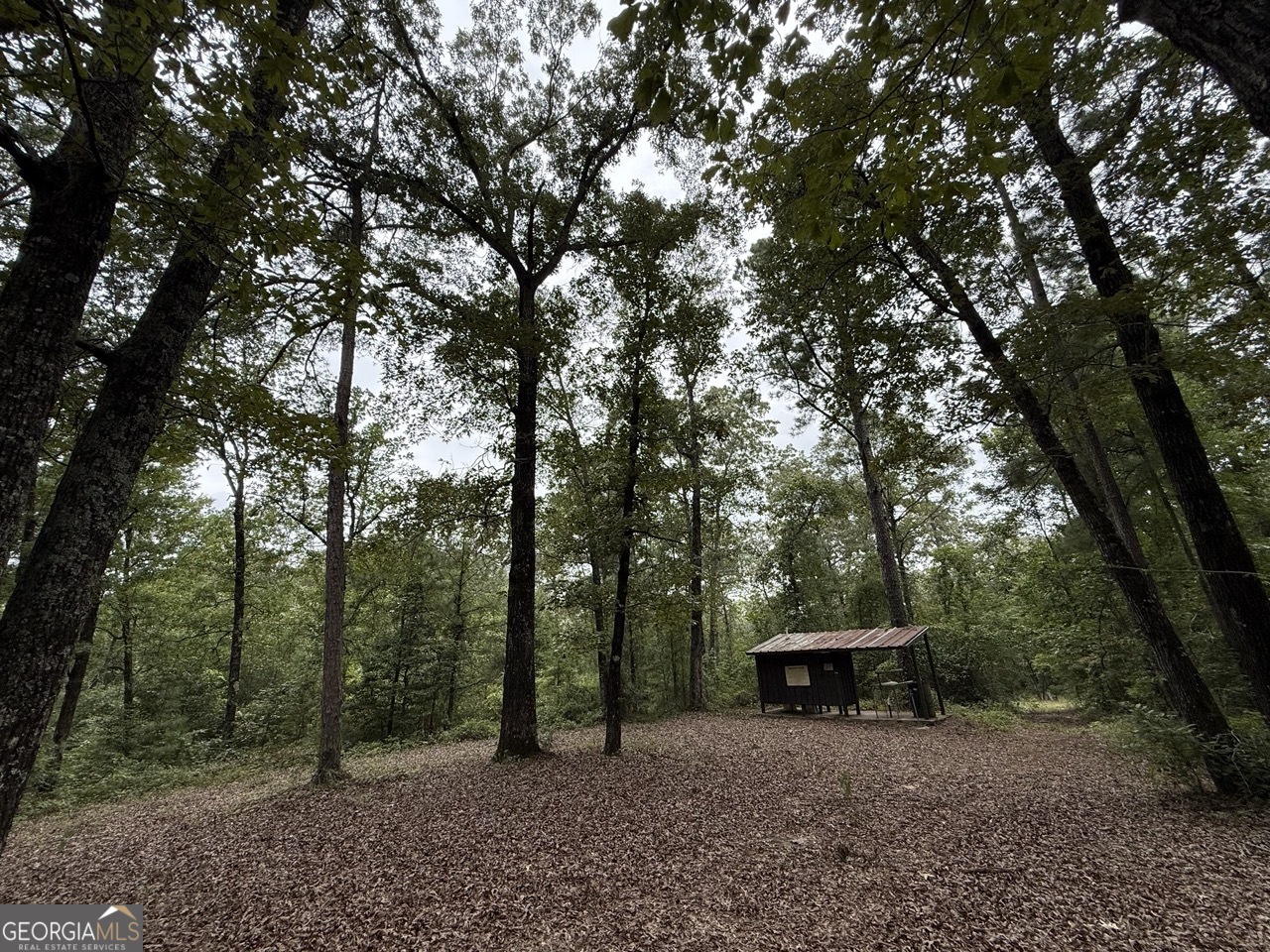 2251 Boy Scout Road Property Photo 24