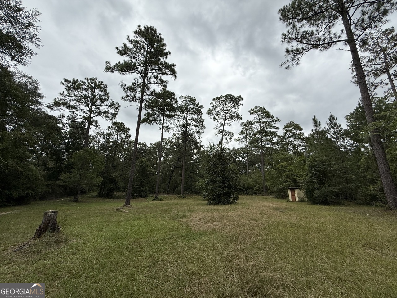 2251 Boy Scout Road Property Photo 26