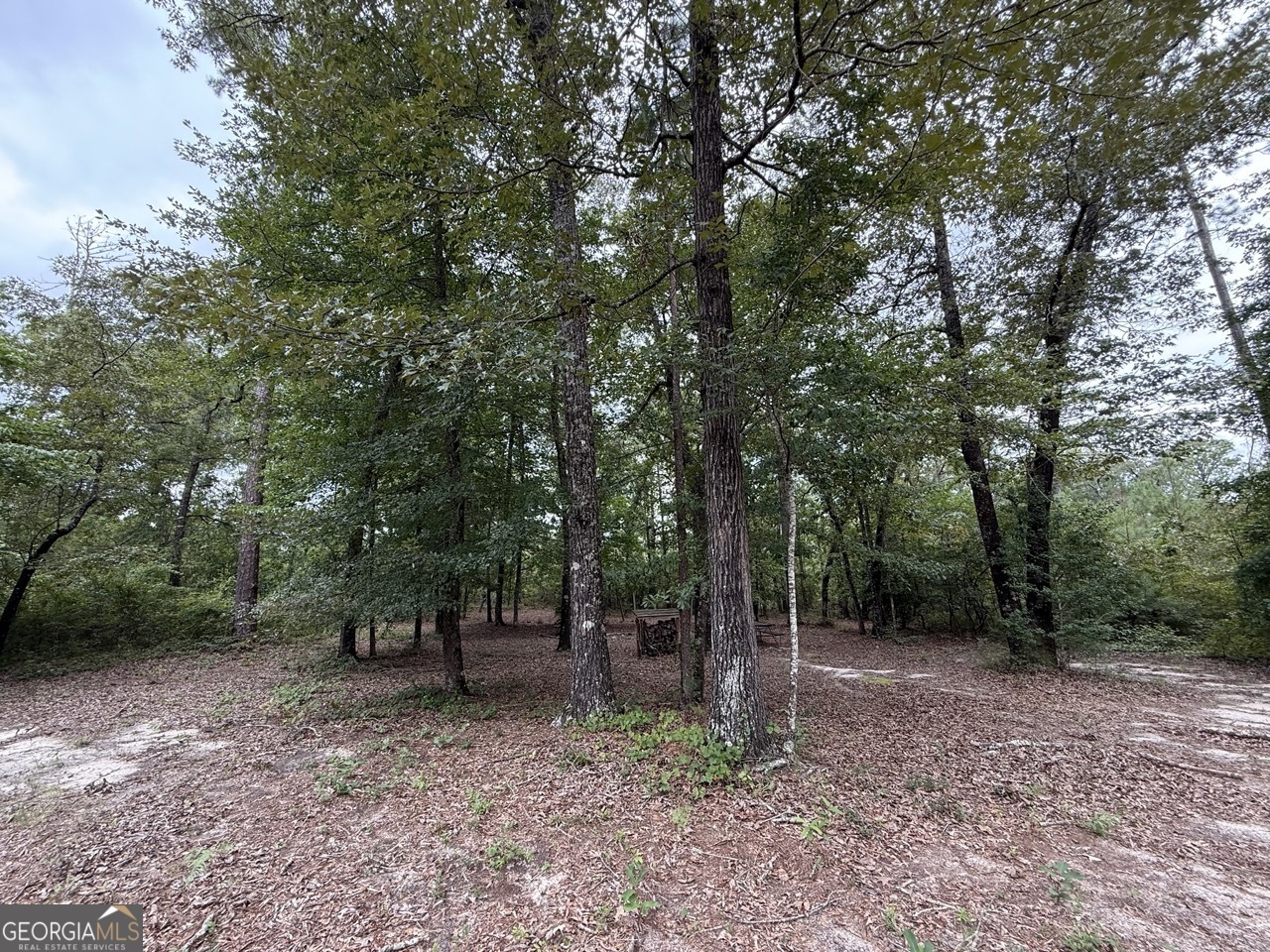 2251 Boy Scout Road Property Photo 33