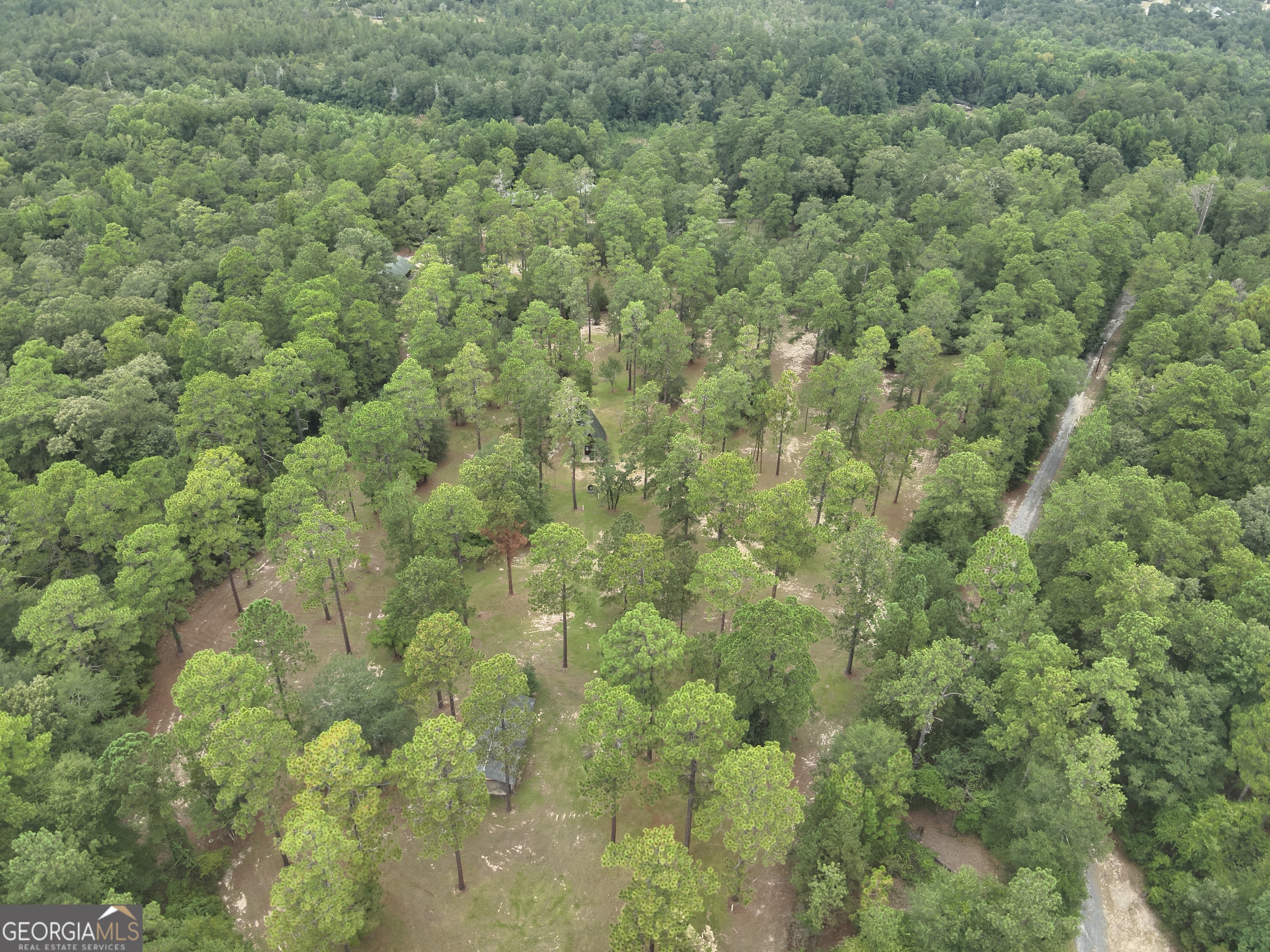2251 Boy Scout Road Property Photo 41