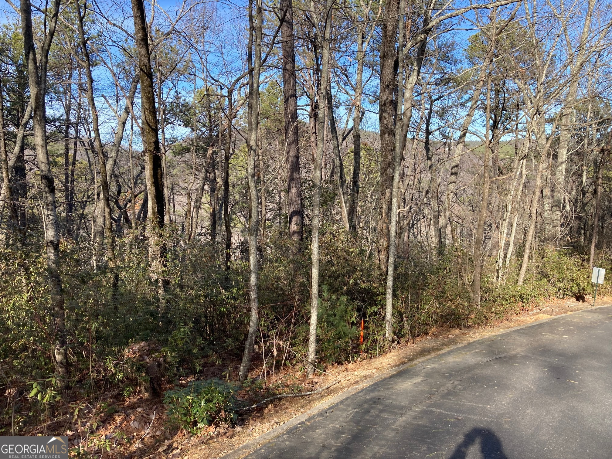 Lot 36 Whispering Dale Drive Property Photo 1